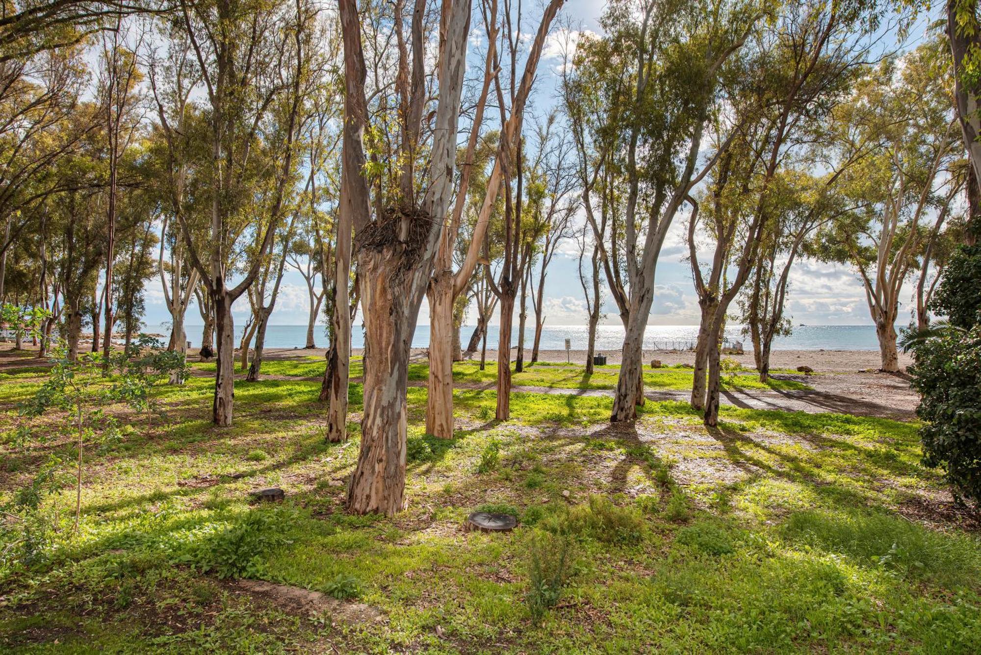 Bonito Estudio En Playa Los Banos Del Carmen Màlaga Exteriér fotografie